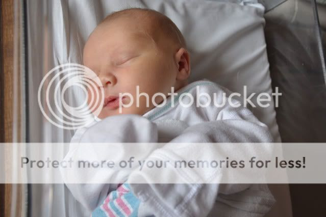 Newborn Photography