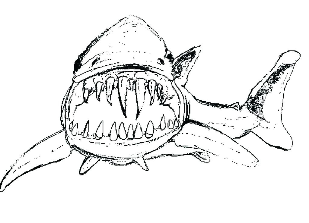 jaws coloring pages  coloring pages kids 2019