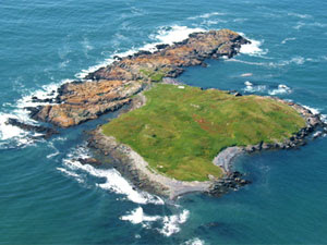Ram Island