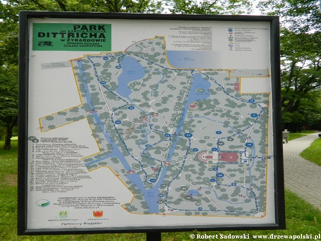 tablica w Parku Dittricha tablica w Parku Dittricha