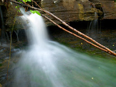 Feeder creek