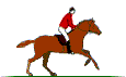 1chevaux3