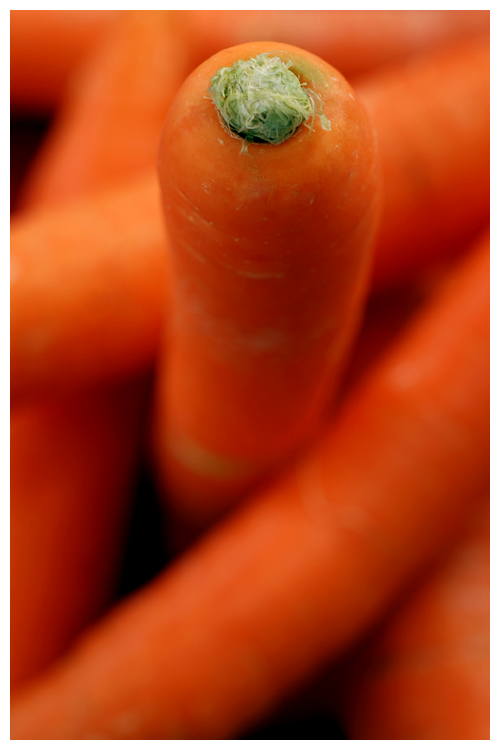 carrot©.png by Haalo