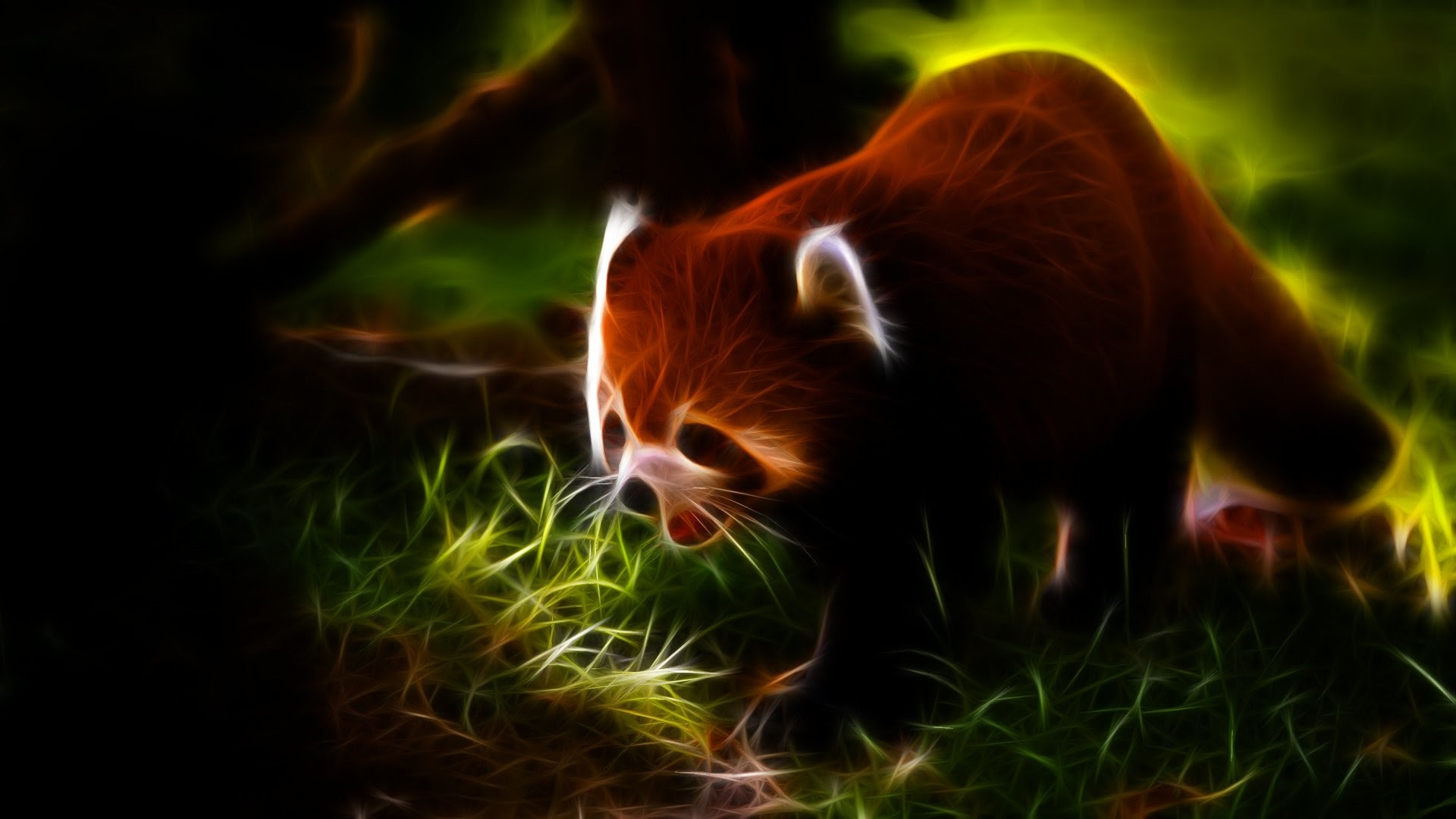Beautiful Cartoon Cute Red Panda Wallpaper - work quotes