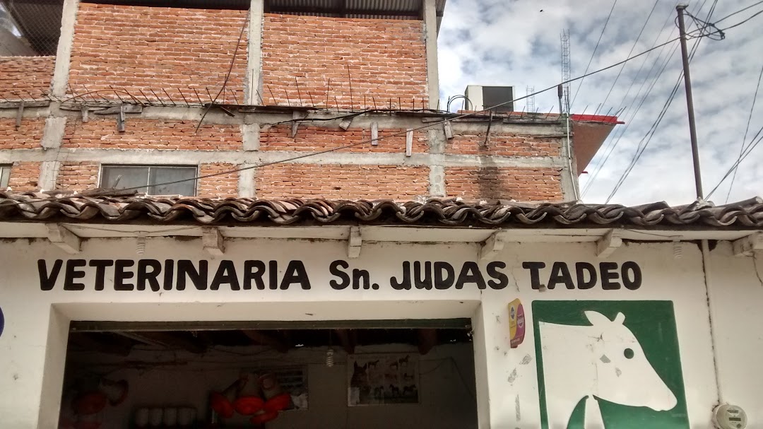 Veterinaria San Judas Tadeo