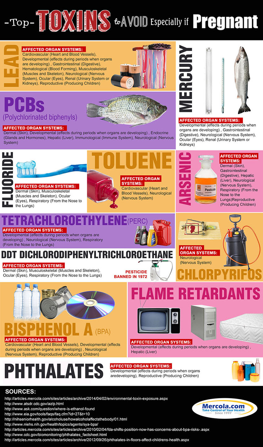 Toxins to Avoid If Pregnant