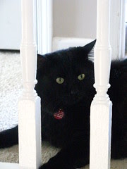 Huggy Bear in jail