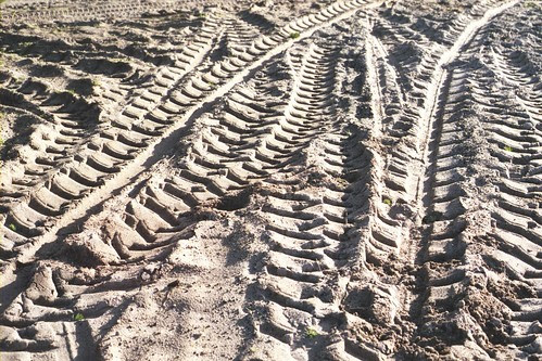 tire tracks
