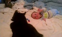 The cats and Elliott