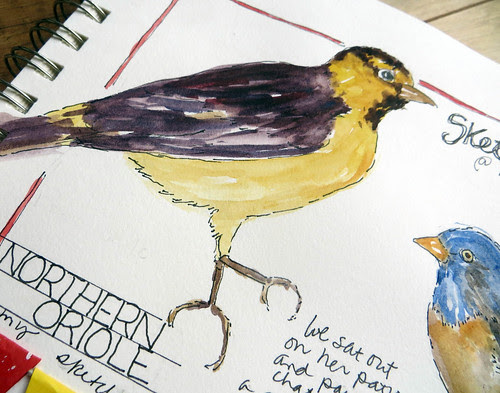 from my sketchbook