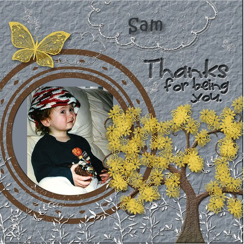 Sam-003