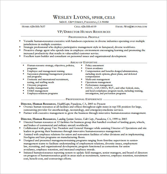 Executive Resume Template Word Free Download Best Resume