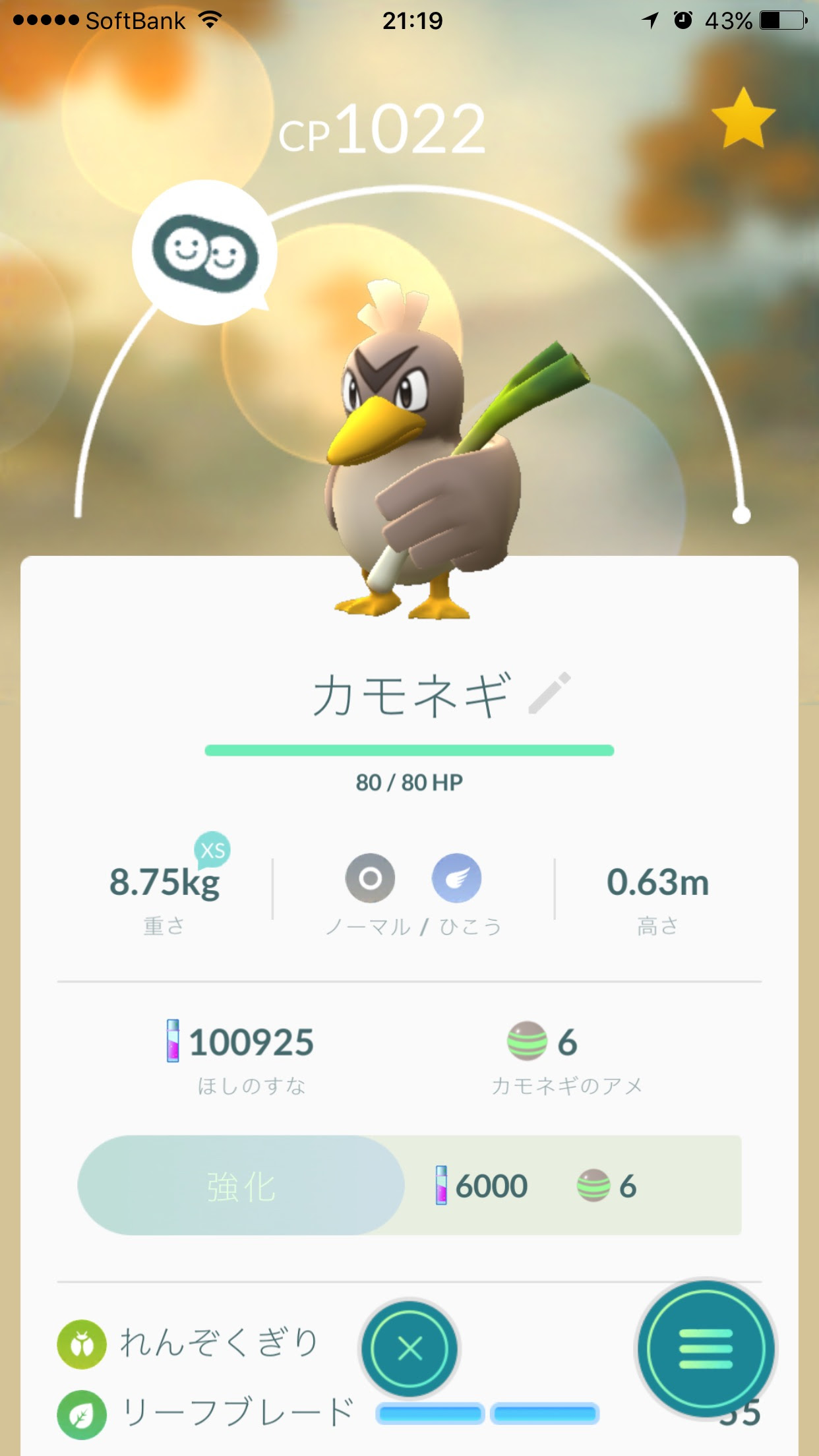 カモネギ 育成 最高のイラストと図面