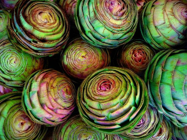 http://www.pinterest.com/pin/26458716530280919/ Globes by inimini --the prettiest artichokes I've ever seen!