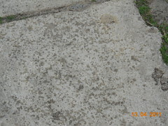 DSCN6739