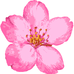 リアル 桜 花 イラスト の最高のコレクション かわいいディズニー画像