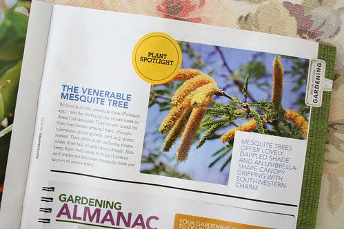 Published again!
