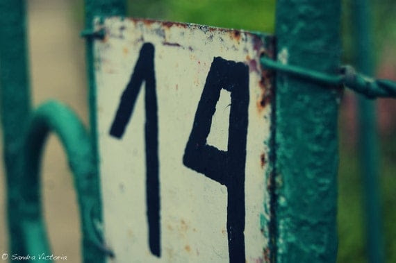 The number 14