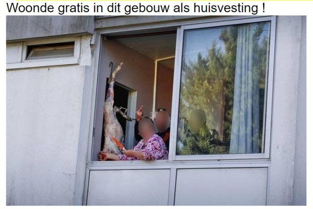 photo lived_for_free_in_this_apartment_zpsmfnlyvya.jpg