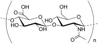 Hyaluronic Acid atau Restiaid Asam hialuronat atau Hyaluronan atau hyaluronic acid atau hyaluronate (atau disingkat HA)