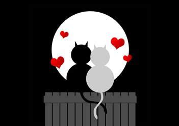 For Her Greetings Card Cats Jehovah's Witness For Her Greetings Card Cats Jehovah's Witness