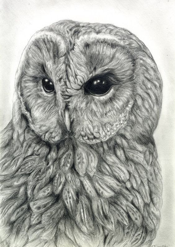 graphite art 29