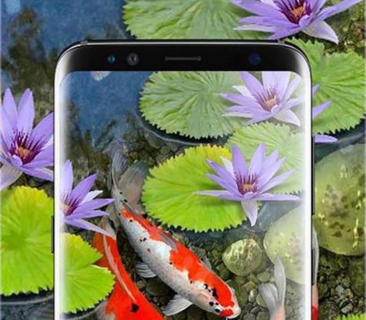 Menakjubkan 29+ Foto Wallpaper Ikan Bergerak Richa Wallpaper