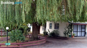 Camellia court family motel