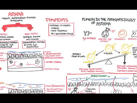 Asthma Vs Copd Usmle Kronis G