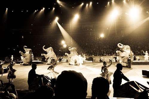 Circus-16