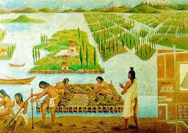 Inca and Aztec grew crops on island sized floating rafts. 