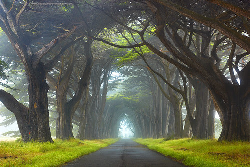 Myst - Point Reyes National Seashore, California