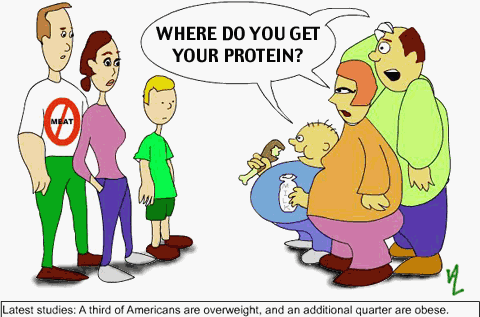 http://karmafreecooking.files.wordpress.com/2008/01/protein-cartoon.gif