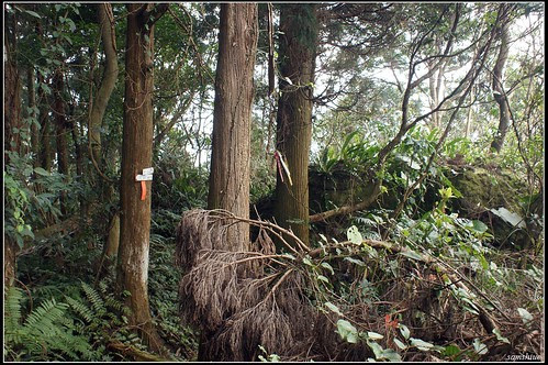 DSC04159