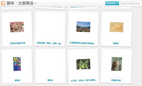 blogger_ snapshot