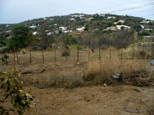 jardim 4788