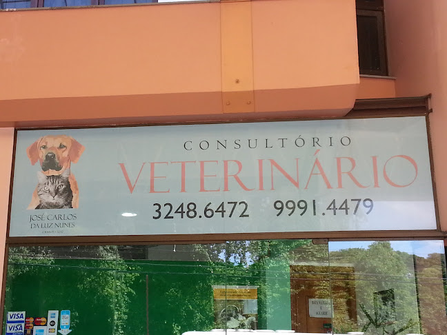 Avaliações sobre Consultório Veterinário - José Carlos da Luz Nunes em Porto Alegre - Veterinário