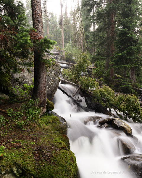 Calypso Cascades mossy Calypso Cascades mossy