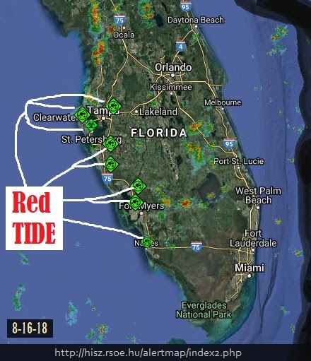 28 Algae Bloom Florida Map - Maps Online For You