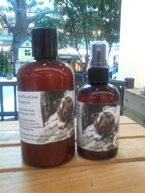 The 25 best Flea shampoo ideas on Pinterest Dog flea shampoo, Flea shampoo for dogs and Dog The 25 best Flea shampoo ideas on Pinterest Dog flea shampoo, Flea shampoo for dogs and Dog