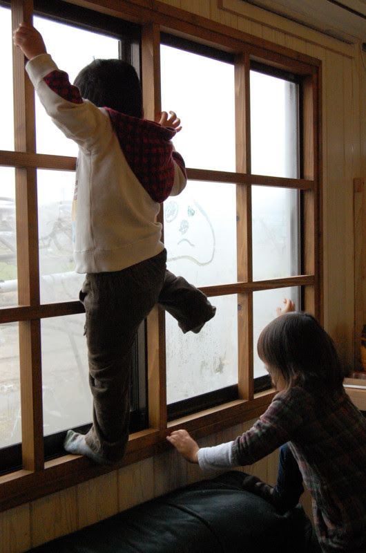 20130220210844