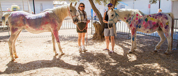 Paint(ing horses