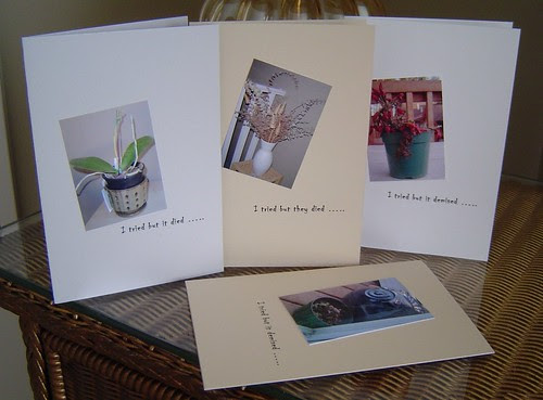 Questionable greetings cards - the I tried but it died series