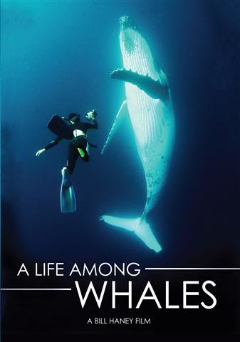 Life among whales