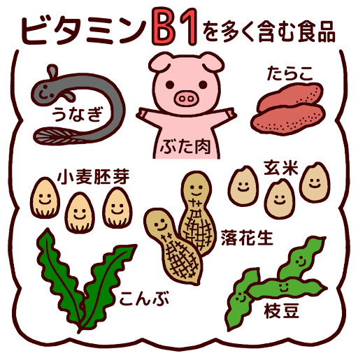 ビタミンB1を多く含む食品(カラー)/給食の無料イラスト/生活/学校素材