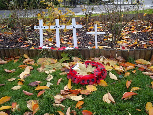 Blackheath fall morning-7
