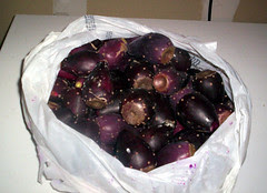 PricklyPear1