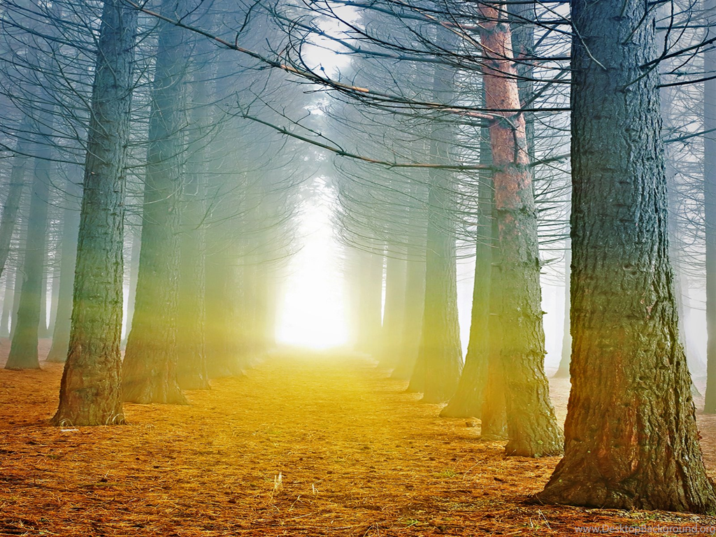 38+ Png Backgrounds Hd Gif