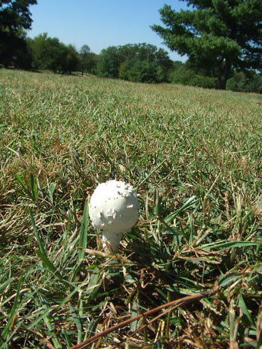 DSCF4470