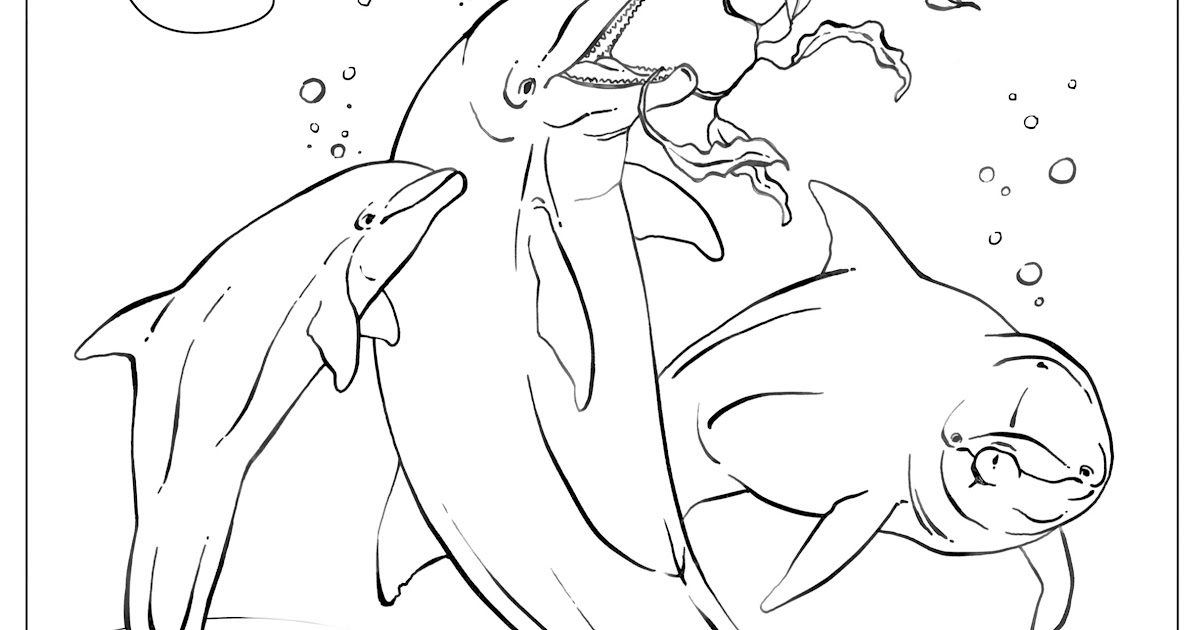 Coloring Pages With Animals : Free Free Printable Coloring Pages Of